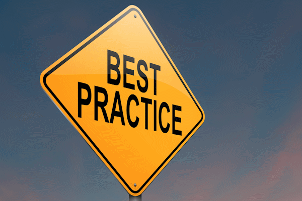 what is a project champion?