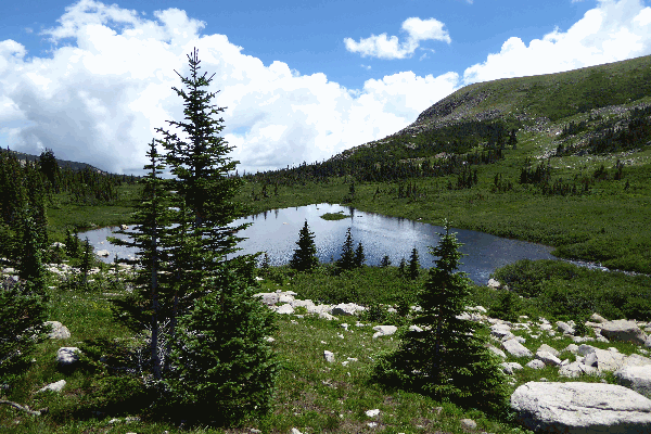 TA Boulder Transformance Advisors Boulder Colorado