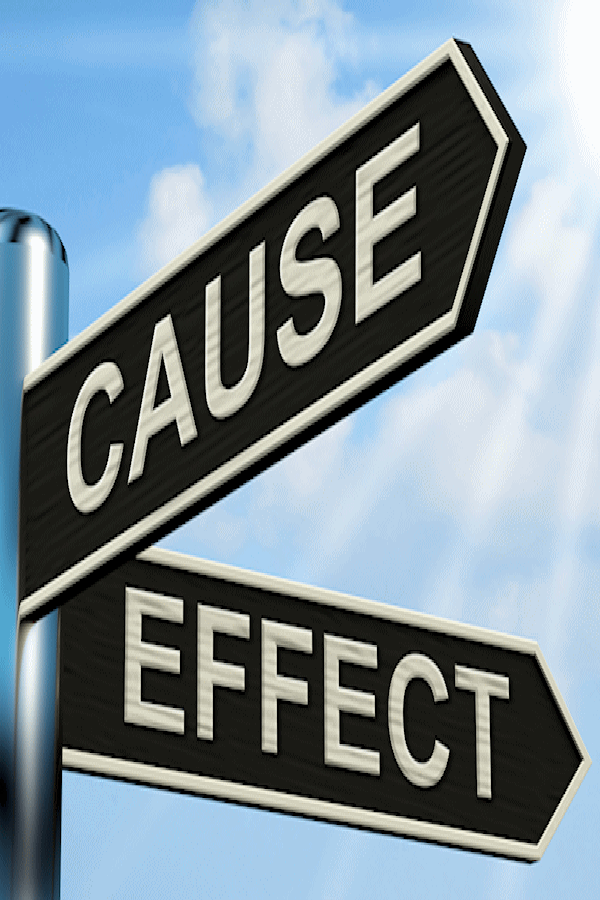 Effects Professional Certifications Lean Certifications