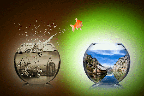 Lean Consulting