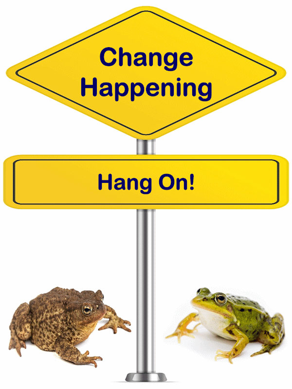 Improvement Methodologies