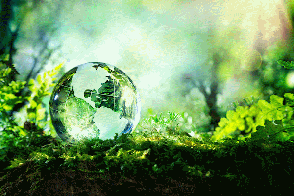 Sustainability