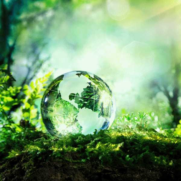 Global Supply Chains