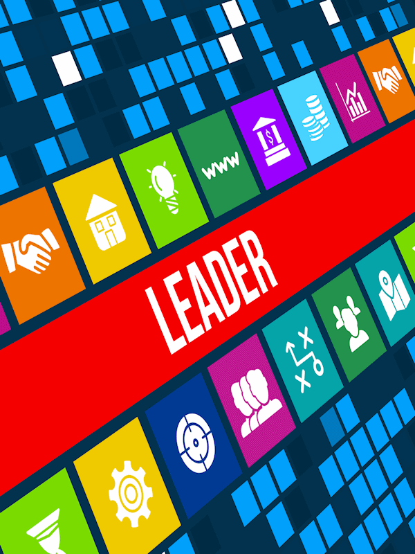Strategy Leadership