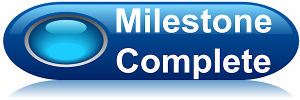 Strategy Execution Milestones