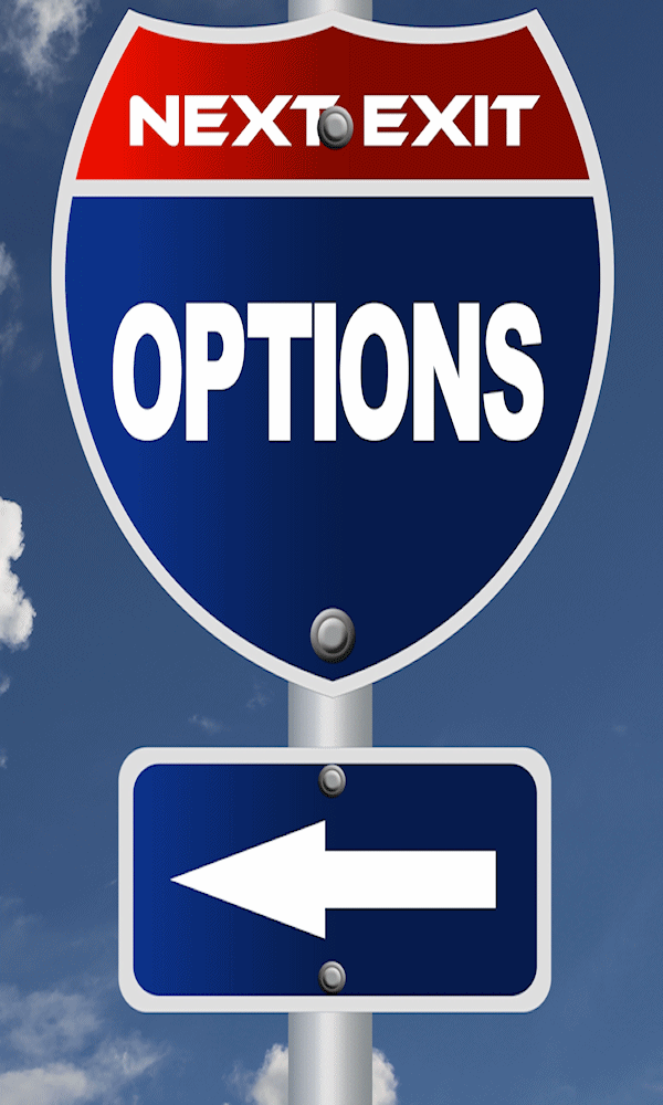 description of options