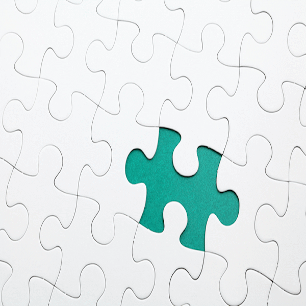 What is a Project Champion?