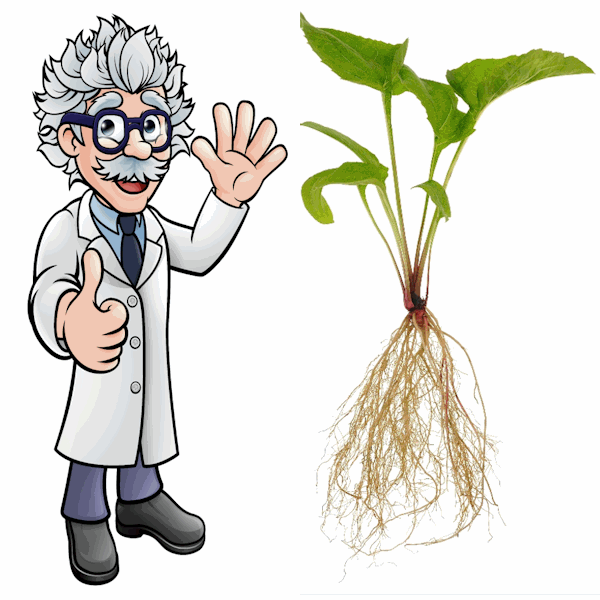 Root Cause Analysis root cause steps