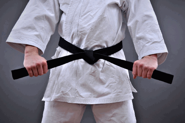 6 Sigma Master Black Belt