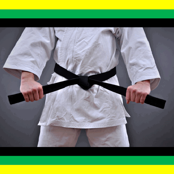 six sigma belts