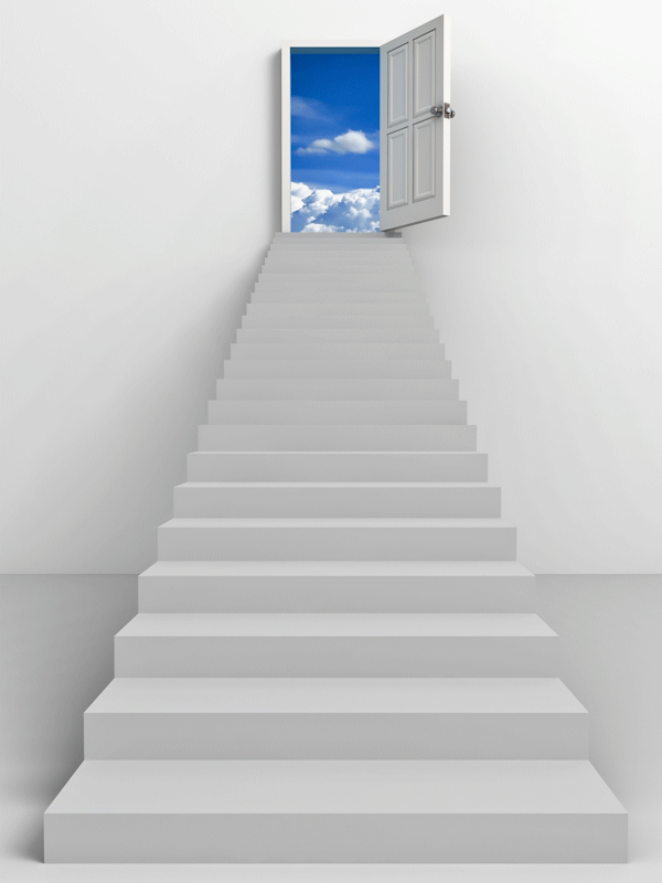 Organizational Assessments Organizational Audits