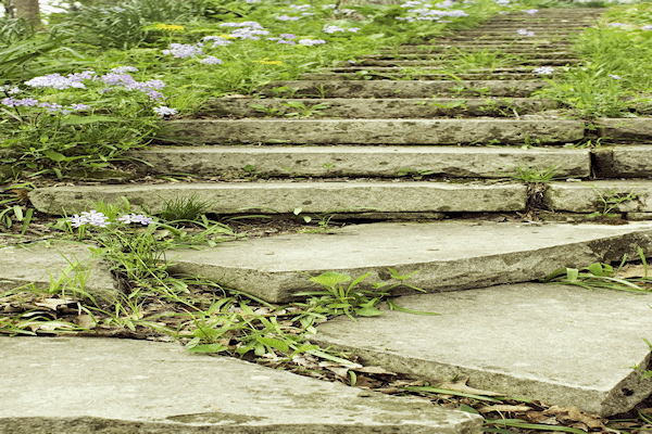 swot steps