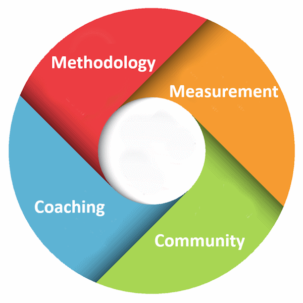 strategy execution program six disciplines program