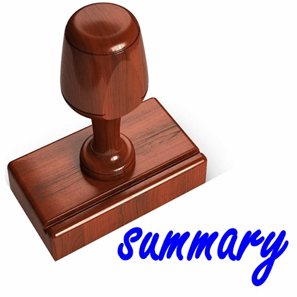 bull whip effect summary