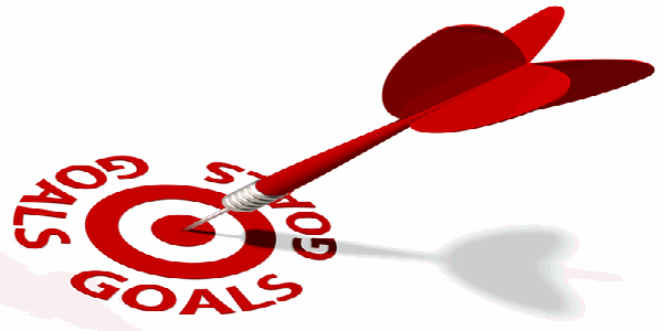 Establish Goals