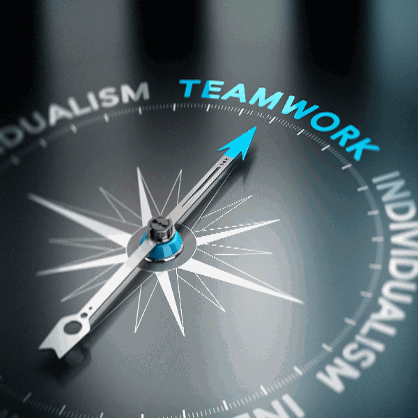 All Teams Can Benefit Team Assessment