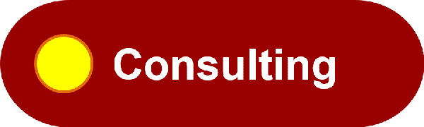 Transformance Advisors Approach
