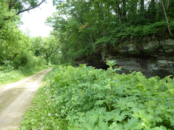 Transformance Advisors Trail of the Month
