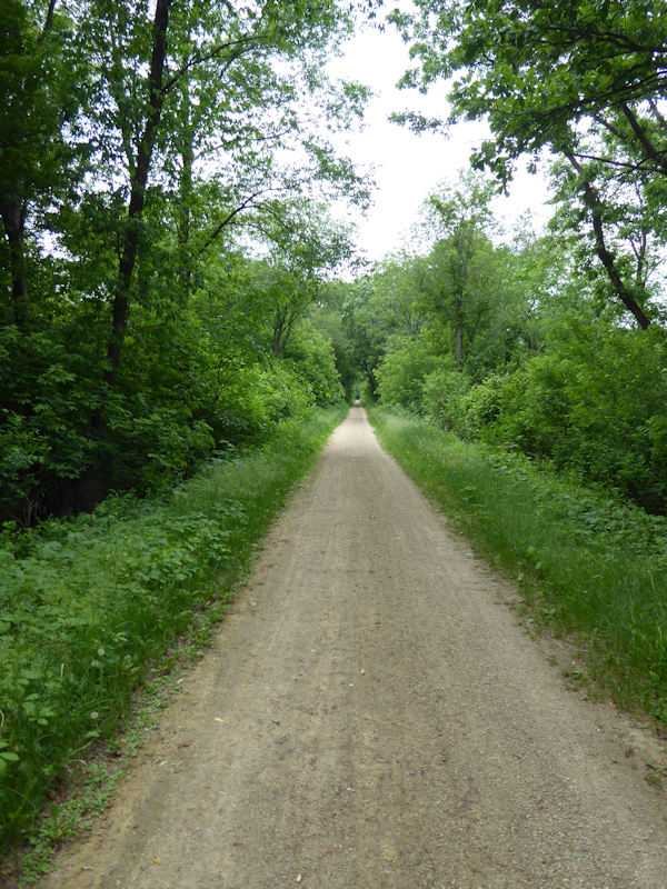 Transformance Advisors Trail of the Month