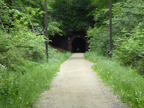 Transformance Advisors Trail of the Month