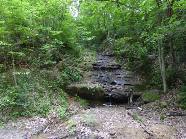 Transformance Advisors Trail of the Month