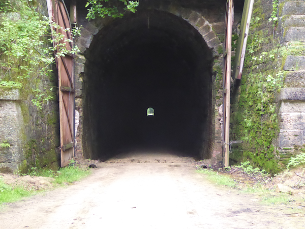 Transformance Advisors Trail of the Month