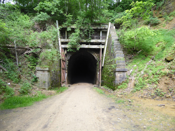 Transformance Advisors Trail of the Month