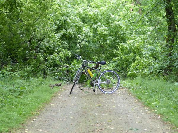 Transformance Advisors Trail of the Month