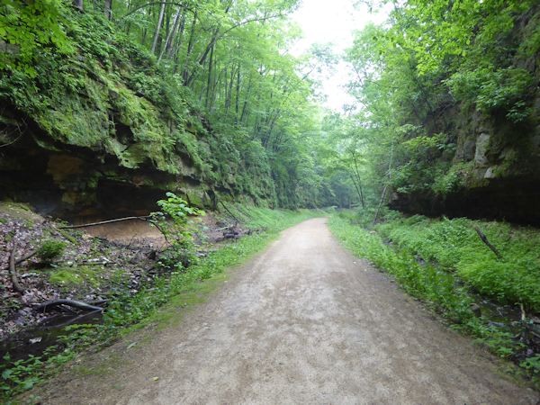 Transformance Advisors Trail of the Month