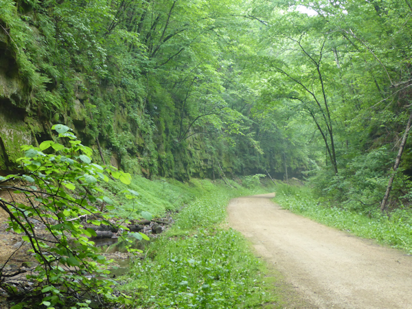 Transformance Advisors Trail of the Month