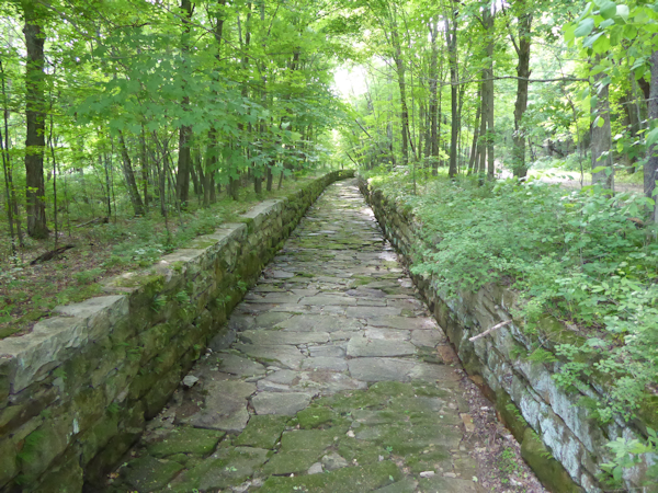 Transformance Advisors Trail of the Month