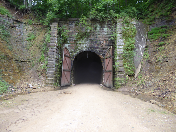 Transformance Advisors Trail of the Month