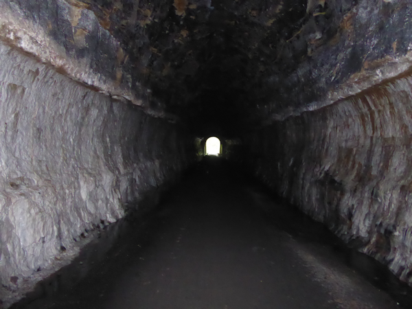Transformance Advisors Trail of the Month