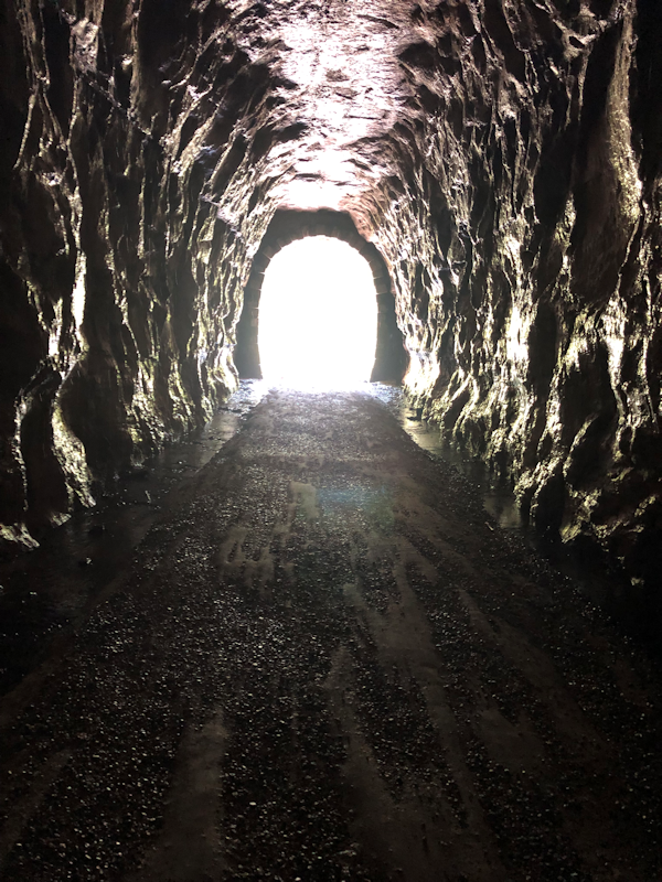 Transformance Advisors Trail of the Month