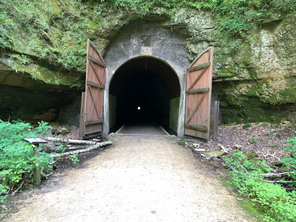 Transformance Advisors Trail of the Month