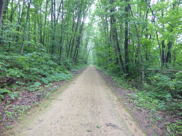 Transformance Advisors Trail of the Month