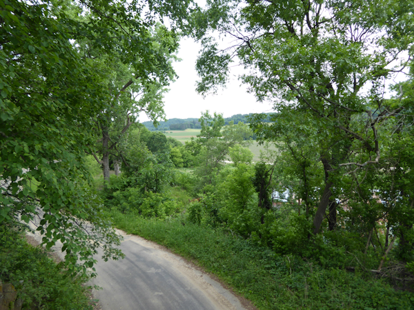 Transformance Advisors Trail of the Month