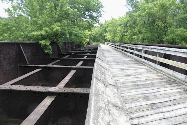 Transformance Advisors Trail of the Month