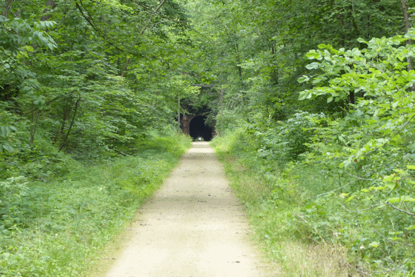 Transformance Advisors Trail of the Month
