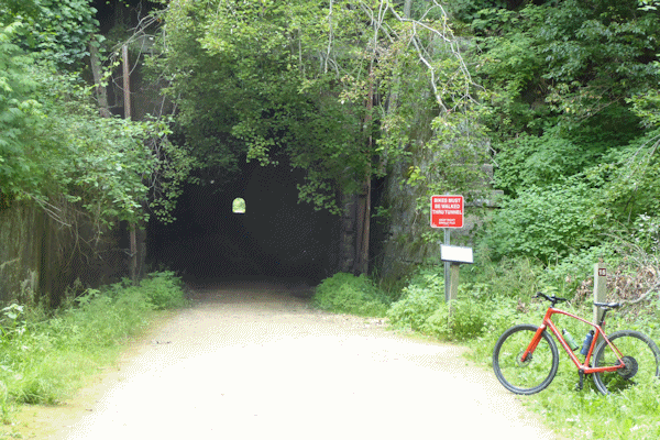 Transformance Advisors Trail of the Month