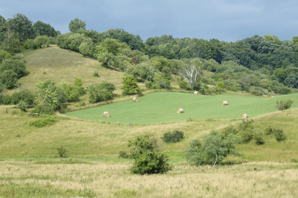 Transformance Advisors Trail of the Month