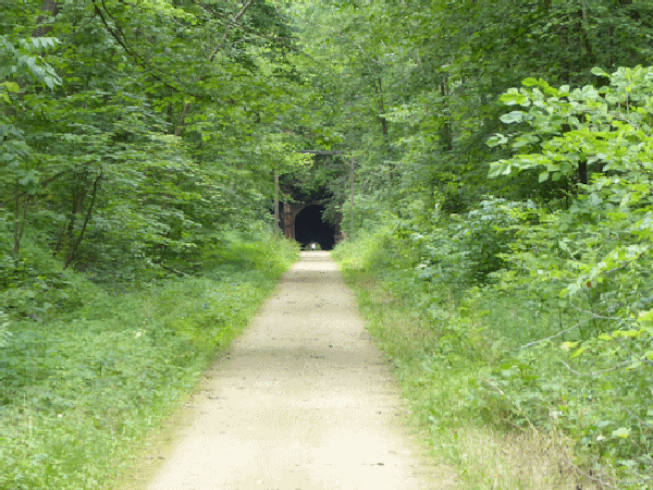 Elroy Sparta Trail Transformance Advisors Trail of the Month