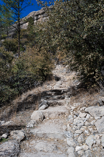 Carved stones leading up a mountain path