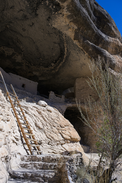 Ladder leading to cliff dwellings