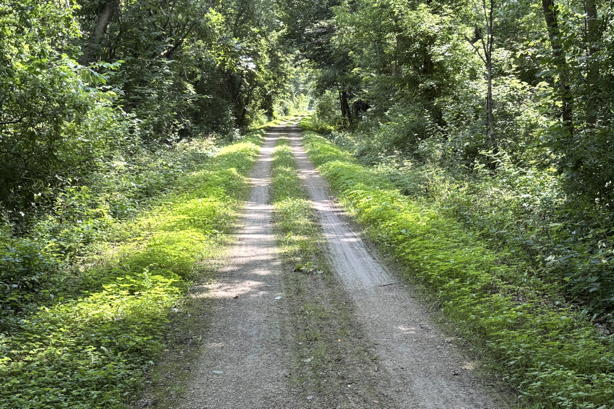 Glacial-Drumlin Trail