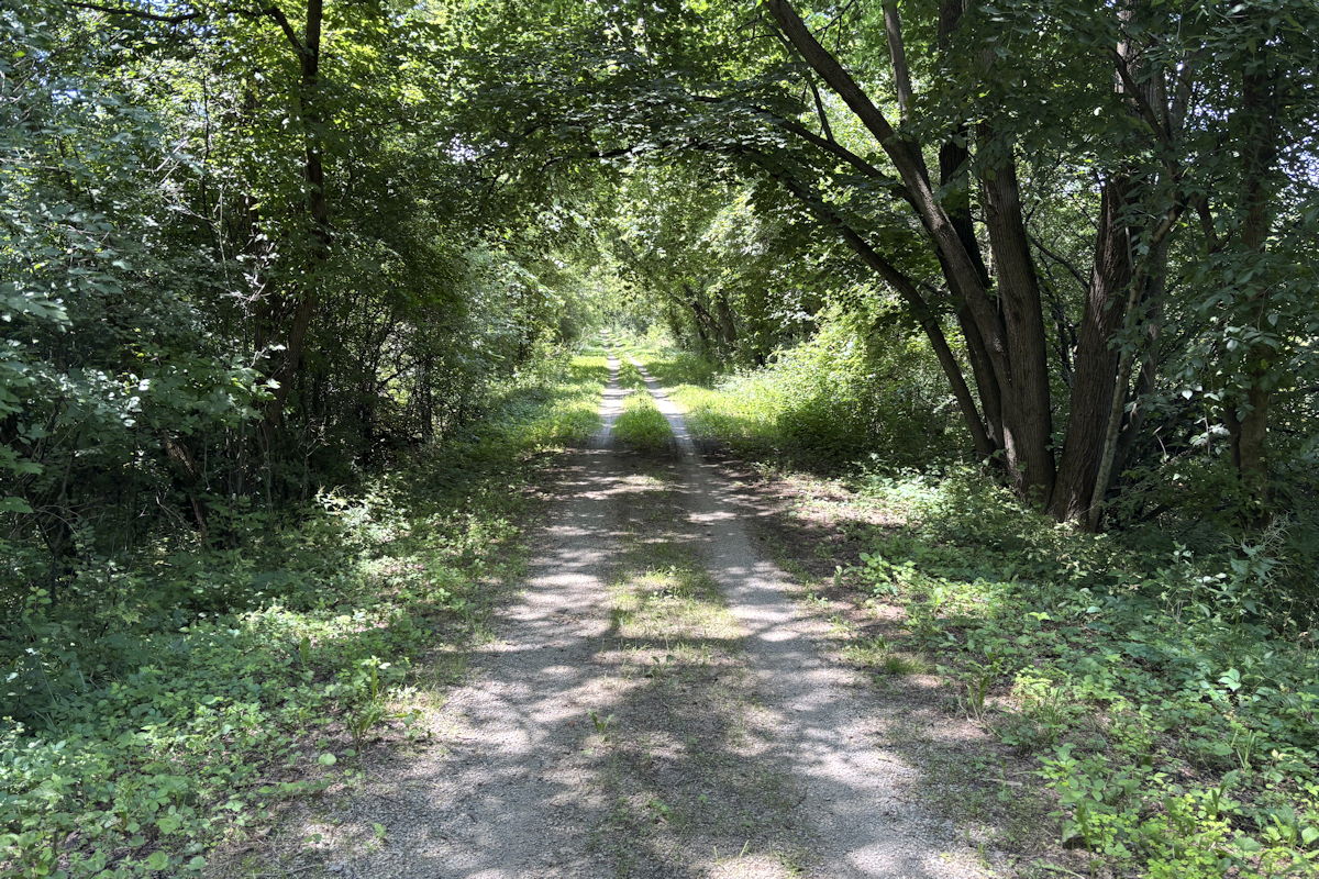 Glacial-Drumlin Trail