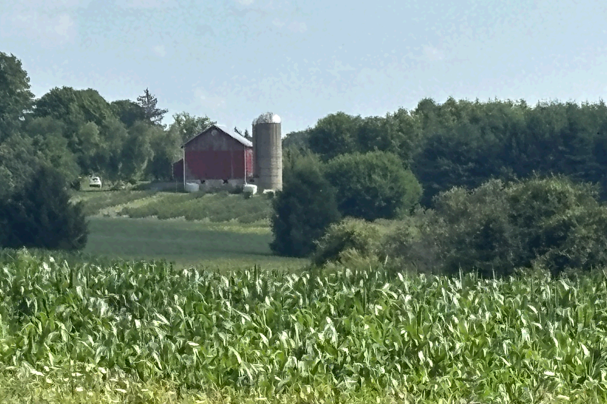 Glacial-Drumlin Trail