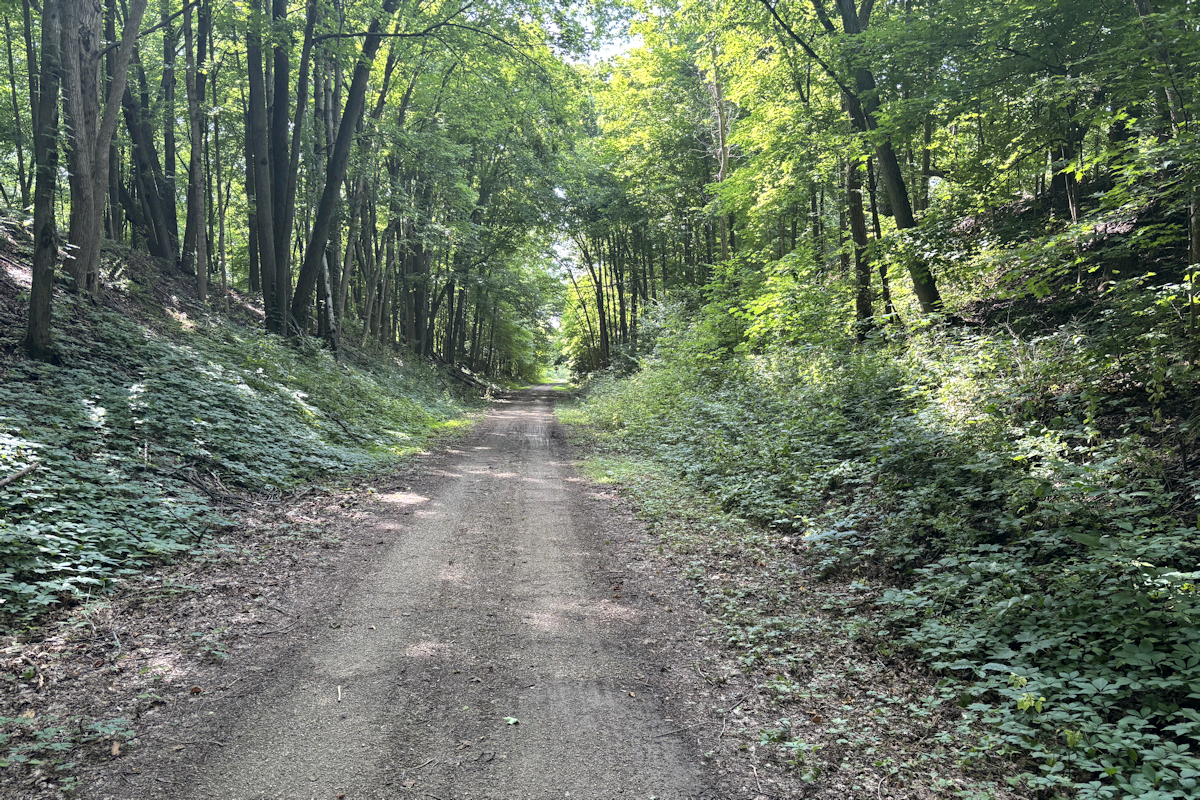 Glacial-Drumlin Trail