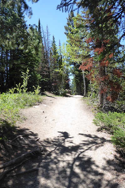 Transformance Advisors Trail of the Month