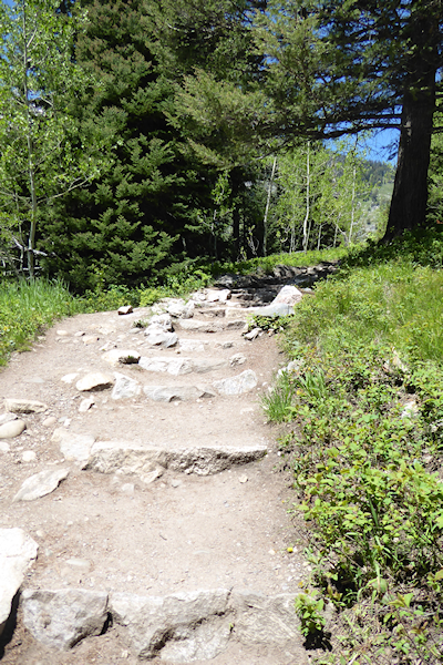 Transformance Advisors Trail of the Month